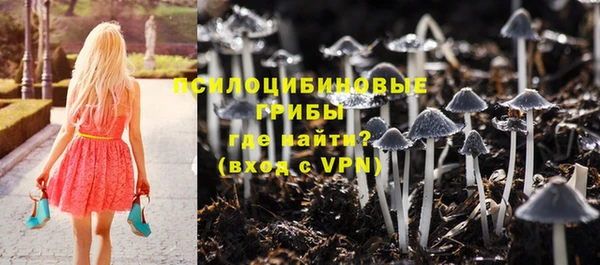 дмт Алексин
