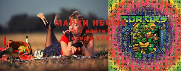 дмт Алексин