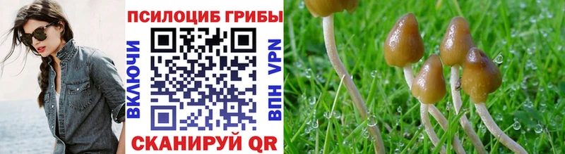 Псилоцибиновые грибы прущие грибы Солнечногорск